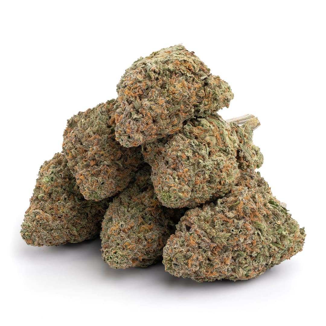 Blue Hawaiian - Image 3