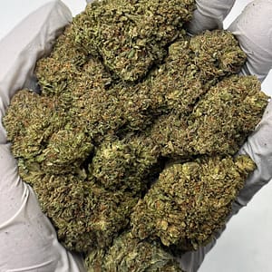Bubba Kush THCa Flower Wholesale