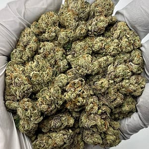 Candy Runtz THCa flower wholesale buds close-up with trichomes