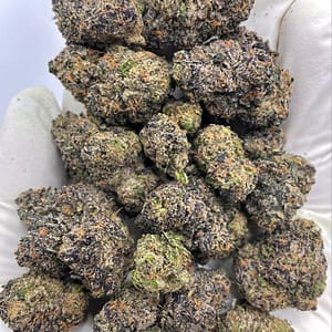 Candy Marker THCa Flower Wholesale Bulk Cannabis Buds