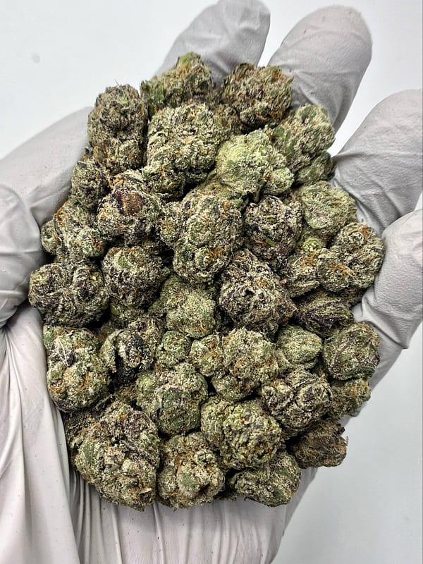Candy Rain THCa Flower dense buds with candy‑sweet trichomes under soft light