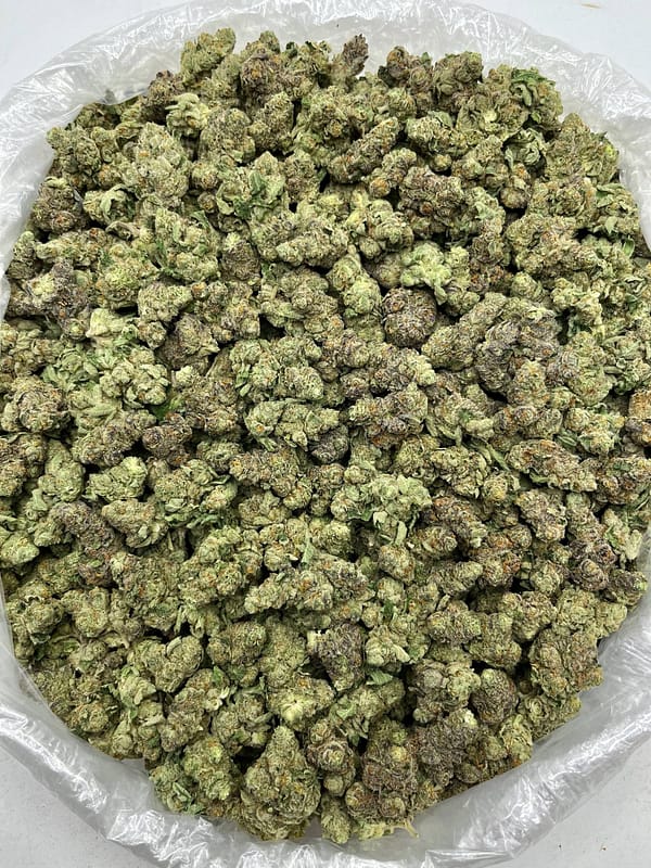 Premium Hella Jelly strain THCa flower for sale in bulk, showcasing berry, cherry, and citrus‑jelly terpene profile under close‑up lighting.