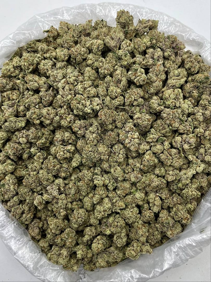 Bulk Candy Runtz THCa strain packaged for dispensaries and smoke shops