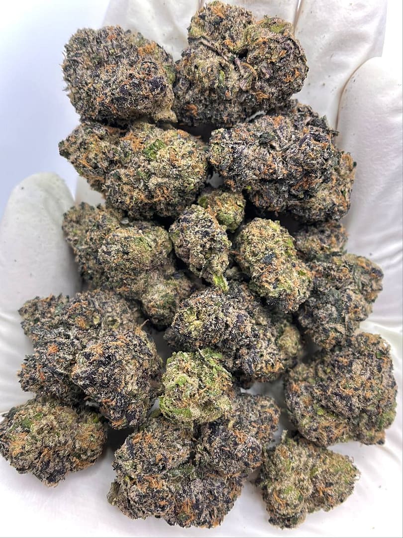 Candy Marker THCa Flower Wholesale Bulk Cannabis Buds