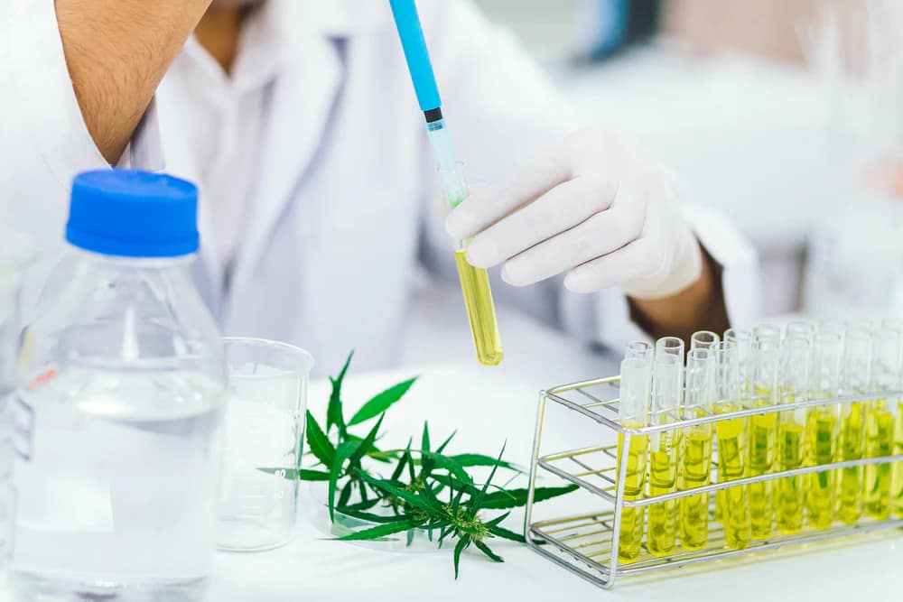 Building Trust with Lab Testing: COAs, Potency Inflation, and Labeling Best Practices 2 Cannabis lab testing COAs potency and labeling best practices