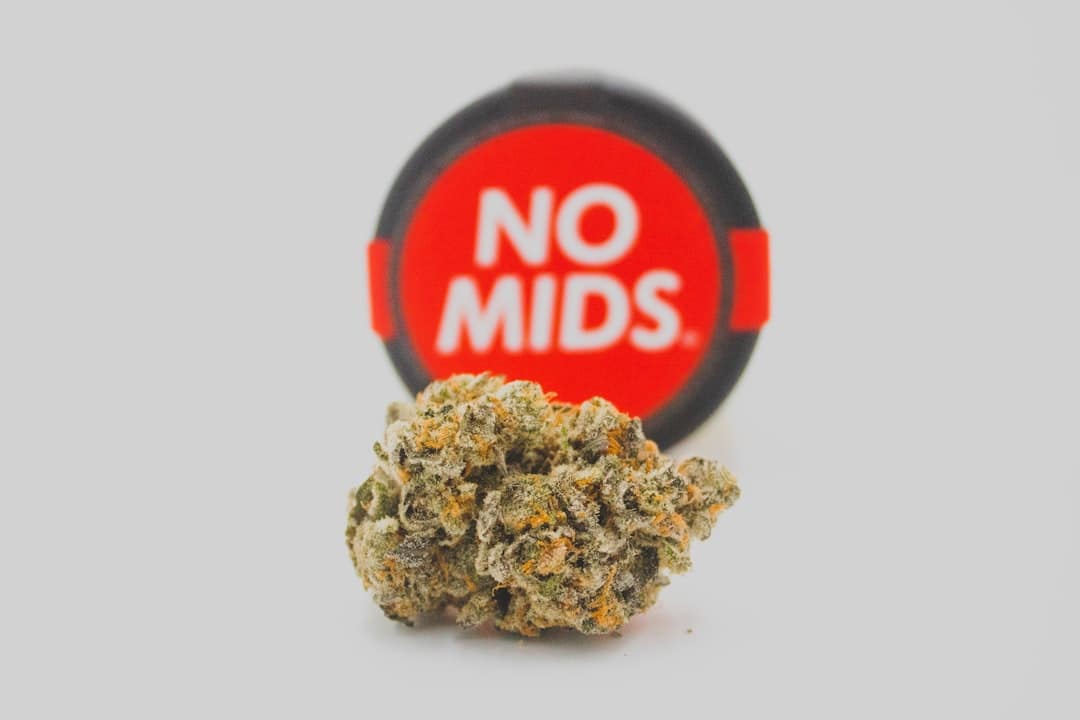 Contact 1 brown-and-green-kush-on-white-surface-hwbc4fp7uuo