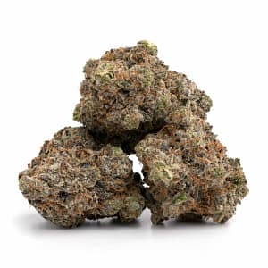 Death Bubba cannabis buds with dense structure and thick layers of trichoms