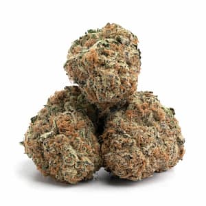 Dosi Cheesequake cannabis buds with rich green and purple tones and heavy resin coverage