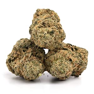 Frosty-Birthday-Cake-cannabis-buds-coated-in-trichomes-with-pink-and-purple-hues.