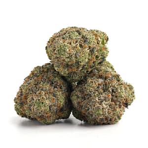 Frosty Miracle Mintz cannabis flower with mint-green and purple hues