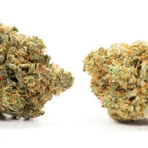 Herijuana cannabis strain close-up showing dense trichomes