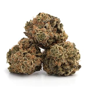 High-resolution-close-up-of-Alien-Dawg-indica-flowers-showcasing-vibrant-green-and-orange-hues