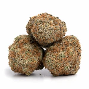 Hindu Kush cannabis buds with thick resin and earthy tones