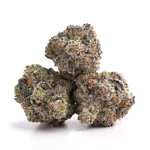Jealousy cannabis strain buds with purple hues and frosty trichomes