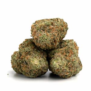 Kosher Kush cannabis buds with rich green and dark purple tones covered in crystals