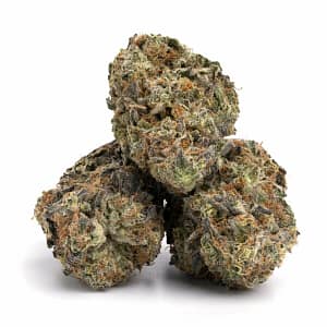 Pink Champagne cannabis buds with purple highlights, orange pistils, and heavy trichome frosting