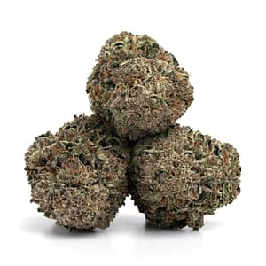 Skywalker OG cannabis buds with dark green hues, frosty trichomes, and orange pistils