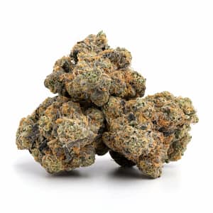 Wappa cannabis buds with dense structure, rich green tones, and fruity trichomes