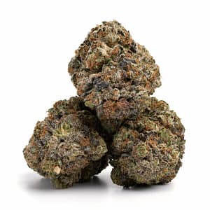 Darth Vader OG cannabis buds with deep purple tones and resinous crystals