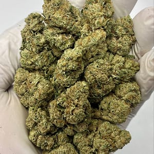 Banana OG THCa Flower