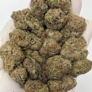 Blueberry THCa Flower