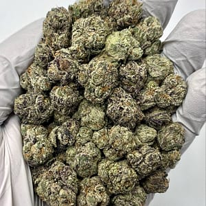 Candy Rain THCa Flower