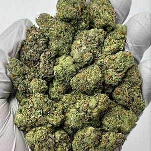 Blue Dream THCa Flower