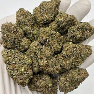 Girl Scout Cookies THCa Flower