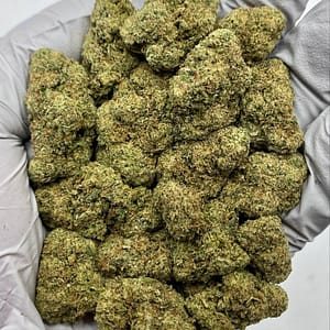 Mule Fuel THCa Flower Wholesale