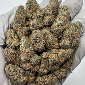 Grape Gas THCa Flower