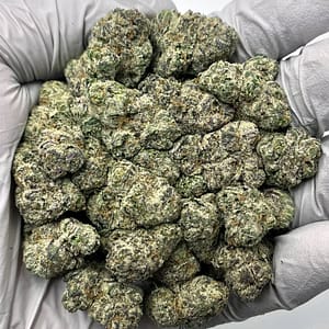 Lemon Cherry Gelato THCa Flower