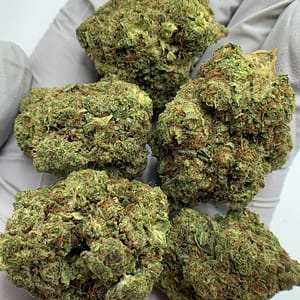 London Pound Cake THCa Flower