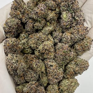 Pink Runtz THCa Flower