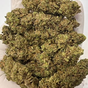 Rainbow Sherbet THCa Flower