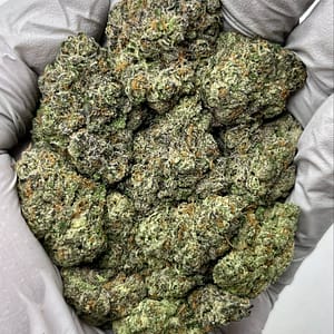 Sherbert THCa Flower