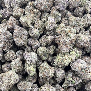 Runtz THCa Flower Buds – Premium Candy-Flavored Cannabis for Bulk Sales