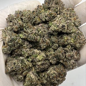 Close-up of Platinum Lemon THCa Flower buds showcasing dense trichomes