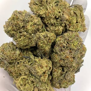Happy Runtz THCa Flower - Premium THCa Strain for Wholesale Buyers