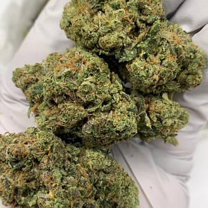 Zkittlez THCa Flower – Candy-Sweet Hemp Buds in Bulk Packaging