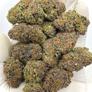 Permanent Marker THCa Flower Wholesale - Premium Bulk Supply