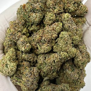 Tangerine Dream THCa flower buds in bulk packaging with citrus aroma profile