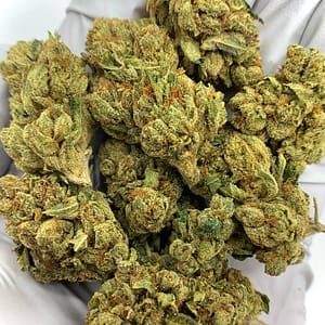 OG Kush THCa Flower Wholesale Bulk Hemp Cannabis Buds