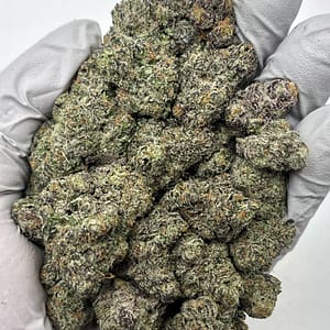 Sherbert THCa Flower – Fruity Hybrid Hemp Buds in Bulk