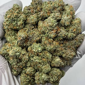 Zoap THCa Flower – Colorful Trichome-Coated Exotic Buds in Bulk