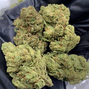 GG4 THCa Flower Wholesale - Gorilla Glue #4 Bulk Cannabis