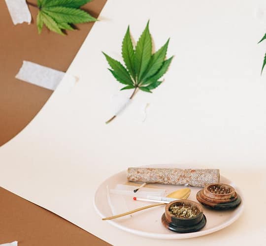 Bulk Cannabis Wholesale Bulk Cannabis Wholesale