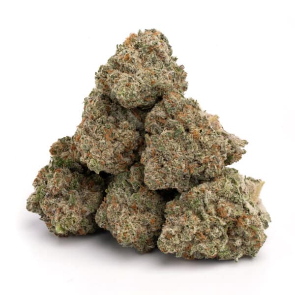 Jack Herer 2 Certificate of Analysis (COA) for Jack Herer strain with terpene profile