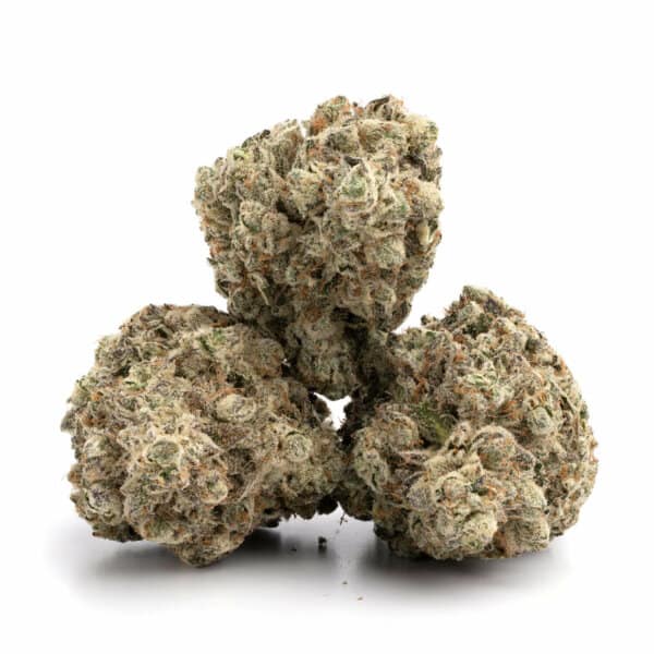 Khalifa Mints 1 Khalifa Mints cannabis buds glistening with trichomes and minty hues