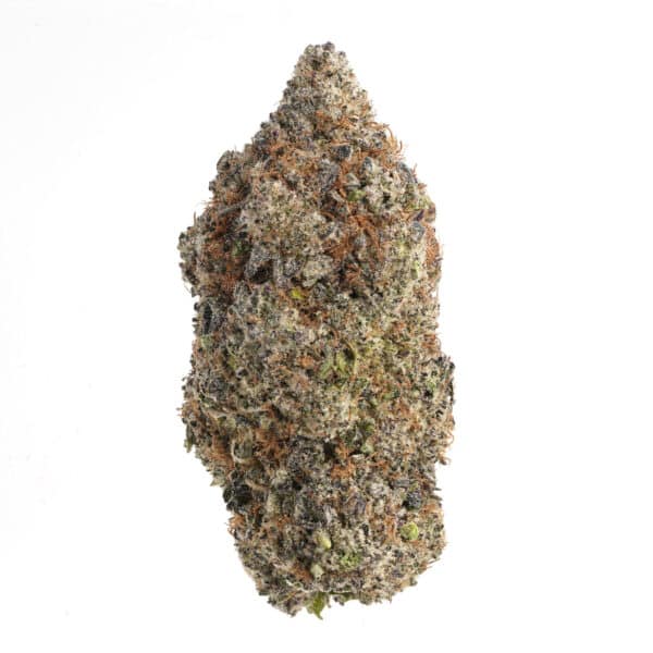 Magic Marker strain packaged for bulk wholesale and retail global orders