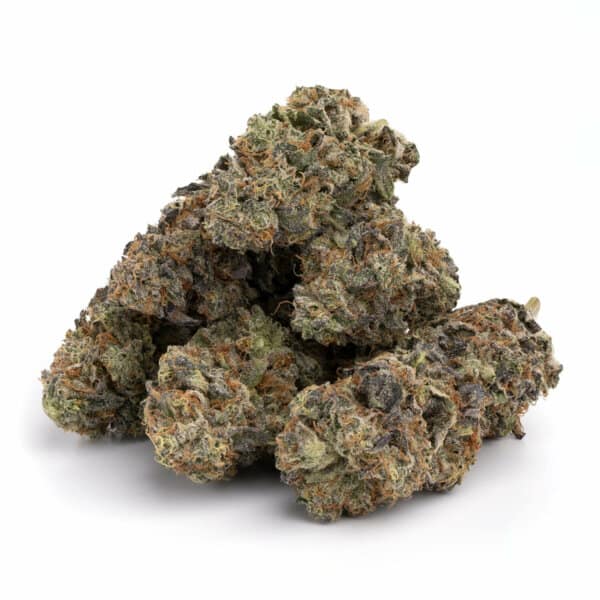 Pink Champagne 2 Pink Champagne - Image 2